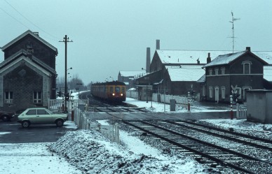 Lauwe - TH 79-7462.jpg